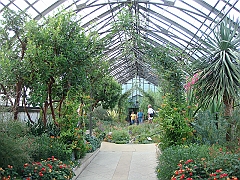 305 Longwood Gardens [2008 August 23]